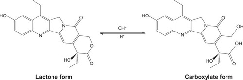 Figure 1 Structures of pH-dependent lactone and carboxylate forms of SN38.Abbreviation: SN38, 7-Ethyl-10-hydroxycamptothecin.