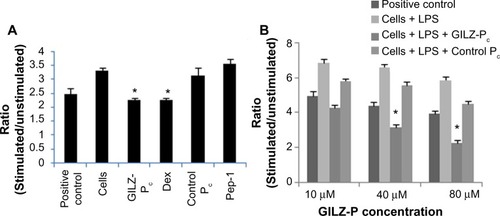 Figure 6 Effect of GILZ-P on NFκB activation in macrophages.