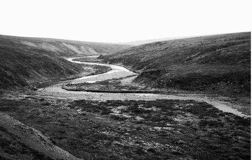 Figure 5 Áhkojohka river valley in the northern part of the study region (69°36′N, 26°18′E, 400 m a.s.l.). The water level has already lowered close to the mid-summer level. Photograph taken by Jan Hjort on 2 July 2002.