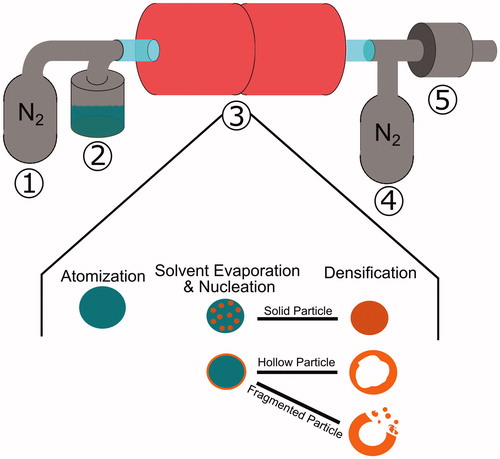 Figure 1. Spray pyrolysis schematic depicting (1) carrier gas introduction, (2) atomization of the precursor solution, (3) dual furnaces heating atomized droplets, evaporating droplet solvents and nucleating salts, and the densification of particles, (4) quench gas introduction, and (5) the particle collection filter and vapor byproduct outlet.