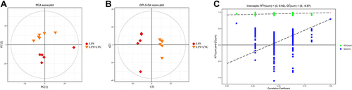 Figure 5 Use of multivariate statistical analysis for the evaluation of plasma lipidomics data (in positive ion mode). (A) PCA score plot. R2X=0.48, LPS group (n=5) and LYC group (n=6) samples fell in Ellipse: Hotelling’s T2 (95%), suggesting that there are no aberrant samples and that the difference between the two groups of samples is significant. (B) OPLS-DA score plot. There were no aberrant samples and the two groups of samples were notably distinct, as shown by the R2Y=0.988, Q2=0.79, and the fact that all of the samples were inside the 95% confidence interval (Hotelling’s T-squared Ellipse). (C) Correlation Coefficient, demonstrating the original model’s robustness and ability to explain the variations between the two groups of samples.