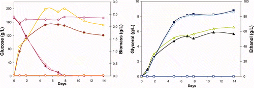 Supplementary Figure 4. Time course of glucose consumption (Display full size,Display full size,Display full size), and biomass (Display full size,Display full size,Display full size), glycerol (Display full size,Display full size,Display full size), and ethanol (Display full size,Display full size,Display full size) production during alcoholic fermentation of a synthetic medium with S. cerevisiae, in absence (bold) and in presence of Cabrio Top [3,6 (2 + 0.18) and 40 (22 + 2) mg/L], respectively. Figura adicional 4. Evolución del consumo de glucosa (Display full size,Display full size,Display full size) y de la producción de biomasa (Display full size,Display full size,Display full size), glicerol (Display full size,Display full size,Display full size) y etanol (Display full size,Display full size,Display full size) durante la fermentación alcohólica de un medio sintético con Saccharomyces cerevisiae, en ausencia (símbolos llenos) y en presencia de Cabrio Top [3,6 (2 + 0,18) y 40 (22 + 2) mg/L], respectivamente.