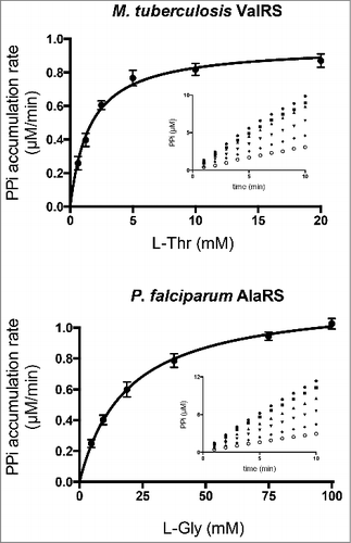 Figure 3. Michaelis-Menten kinetics of ValRS from M. tuberculosis and AlaRS from P. falciparum. Reaction kinetics of ValRS from M. tuberculosis (Mt-ValRS) and AlaRS from P. falciparum (Pf-AlaRS) with varying amounts of the non-cognate substrates L-Thr (0.6–20 mM) and L-Gly (4.6–100 mM), respectively. PPi synthesis kinetics are shown in insets (n = 4).