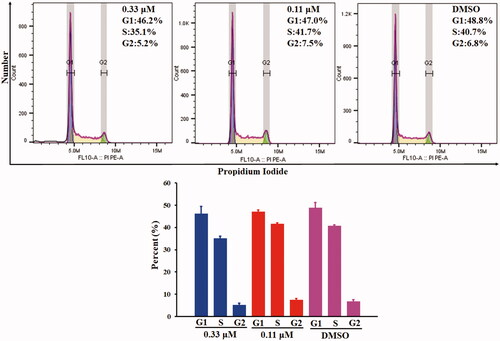 Figure 5. Cell cycle arrest analyses of COLO 205 cells treated with compound 10a for 24 h.