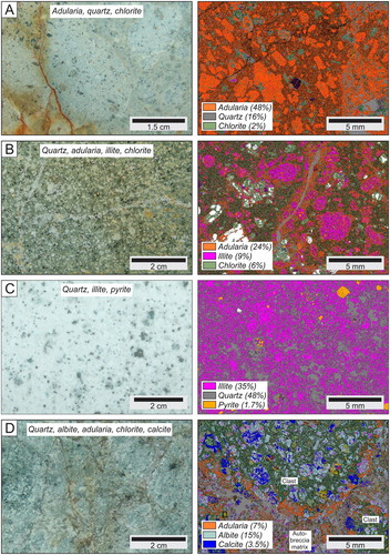 Figure 5. Images of hydrothermally altered rock (left) and corresponding automated mineralogy map (right) for samples from the Karangahake deposit. Note that left and right images are from different parts of the same slabbed rock surface. The different colours for the automated map represent different minerals with selected minerals indicated in the legend and their corresponding amount. A, Adularia, quartz and chlorite altered andesite. Feldspar phenocrysts are altered to adularia, and pyroxene phenocrysts altered to chlorite (AU#57555). B, Quartz, adularia, illite and chlorite altered andesite with phenocrystic feldspar altered to adularia and illite (AU#57491). C, Andesite pervasively altered to quartz, illite and minor pyrite. Faint outlines of feldspar phenocrysts are poorly preserved (AU#57548). D, Auto-brecciated andesite altered to quartz, albite, adularia, chlorite and calcite. Albite occurs throughout the sample, whereas adularia is concentrated in the auto-breccia matrix and rims the clasts. Adularia is interpreted to have formed later than the albite (AU#57510).