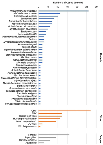 Figure 3 Results of pathogenic microorganisms in mNGS.
