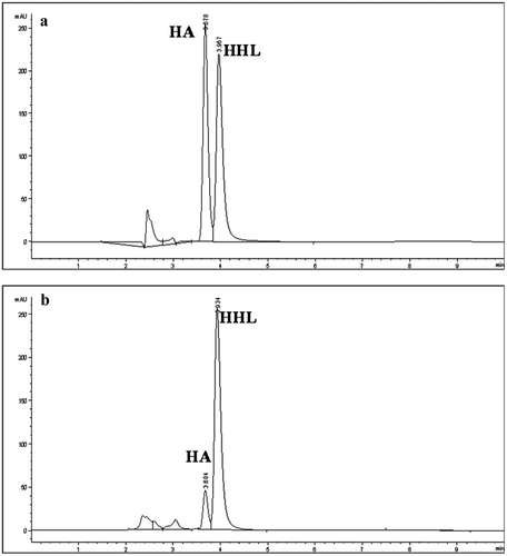 Figure 1. ACEI activity measurement by RP-HPLC. (a) Sample without ACE inhibitors. (b) EtOH-SN fraction of pasteurized fresh goat cheese. Decrease in HA production was related with ACEI activity. HA: Hippuric acid, HHL: Hippuryl-histidyl-leucine.Figura 1. Actividad inhibidora de la enzima convertidora de angiotensina (ECA) medida por RP-HPLC. (a) Muestra sin inhibidores de ECA. (b) Fracción EtOH-SN de queso fresco pasteurizado de cabra. La disminución en producción de AH se relacionó con la actividad inhibitoria de la enzima. AH: Ácido hipúrico, HHL: Hipuril-histidil-leucina.