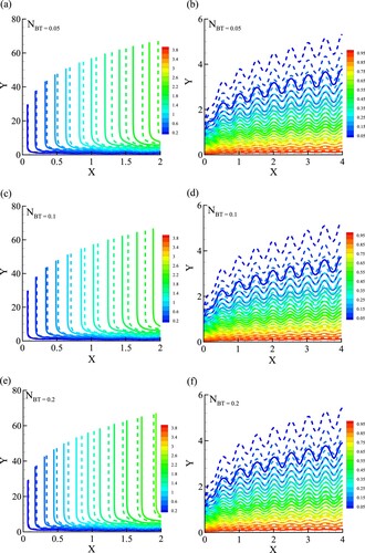 Figure 16. Effect of different NBT=(0.05,0.1,0.2) on (a), (c), (e) Streamlines (b), (d), (f) Isotherms at A = 0.1, Sc = 10, ϕ=0.0 (solid line) and ϕ=0.1 (dashed line).