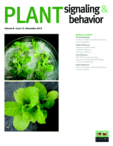 Figure 1. Cover of Plant Signaling & Behavior Volume 8, Issue 12.