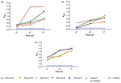 Figure 1. Influence of incubation time, temperature and CO2 concentration conditions in biofilm development of Ornithobacterium rhinotracheale. Serovars cells were grown in BHI medium without shaking at different experimental conditions. The amount of biofilm was determined by the crystal violet method, as described in materials and methods. Todas las cepas fueron ajustadas a un inoculo inicial de 9 × 108 (a) 37°C aerobic; (b) 40°C aerobic; (c) 40°C elevated CO2 concentration. Analysis was done with ANOVA and Tukey tests using the SigmaPlot software. Statistical significance was set at P < .05.