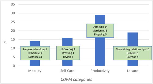 Figure 2. Prioritized challenging occupations.Number of prioritized challenging occupations in 17 participants assessed using the COPM (Canadian Occupational Performance Measure). Frequently described occupations are listed under each category.