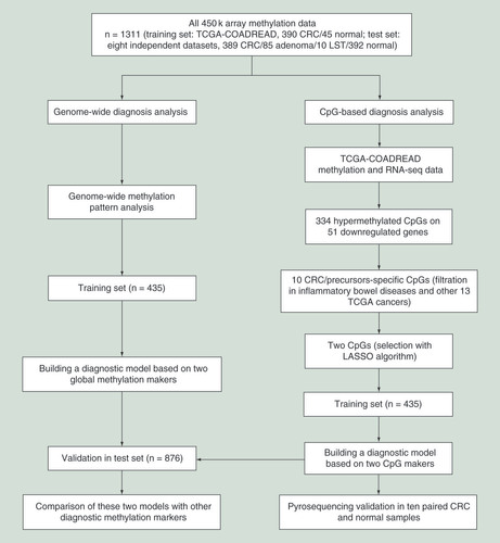 Figure 1. The flow diagram of the study design.CRC: Colorectal cancer; LASSO: Least Absolute Shrinkage and Selector Operation; LST: Colorectal laterally spreading tumor; TCGA: The Cancer Genome Atlas.