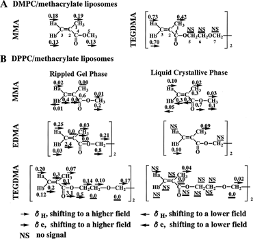 Figure 2 Changes in 1H and 13C NMR chemical shifts of methacrylate mokecule associated with DMPC or DPPC liposomes. DMPC liposomes/MMA (1:1, molar ratio) and DMPC/TEGDMA (1:1) liposomes were measured at 30°C. In DPPC liposome system, the rippled gel phase was measured at 30°C, whereas the liquid crystalline phase for MMA and for both EDMA and TEGDMA were measured at 52°C and 37°C, respectively.