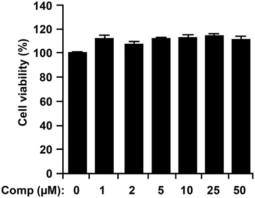 Figure 2. Effects of comp on cell viability of bone marrow-derived dendritic cells (BMDCs). BMDCs were treated with comp (1–50 μM) for 18 h and viability was measured using MTT assay. Results shown are the mean ± SD of an experiment done in triplicate and are representative of three separate experiments. Comp, 3-hydroxy-4,7-megastigmadien-9-one.