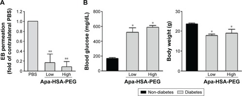 Figure 5 Intravitreal injection of Apa-HSA-PEG nanoparticles inhibits diabetes-induced retinal vascular leakage in STZ-induced diabetic mice.Notes: (A) STZ-induced diabetic mice received an intravitreal injection of Apa-HSA-PEG nanoparticles (61 ng for the low-dose group [Low], 610 ng for the high-dose group [High]). An equal volume of PBS was injected into the contralateral eye as a control. One day after injection, retinal vascular leakage of EB dye was measured and expressed relative to that in each contralateral control eye (means ± SEM, **P<0.01 vs contralateral PBS control, n=8). (B) Blood glucose and body weights of mice used in this experiment were measured before (Nondiabetes) and 2 weeks after (Diabetes) the initial STZ injection (*P<0.05 vs Nondiabetes, n=8).Abbreviations: Apa-HSA-PEG, apatinib-loaded human serum albumin-conjugated polyethylene glycol; STZ, streptozotocin; PBS, phosphate-buffered saline; EB, Evans Blue; SEM, standard error of the mean.