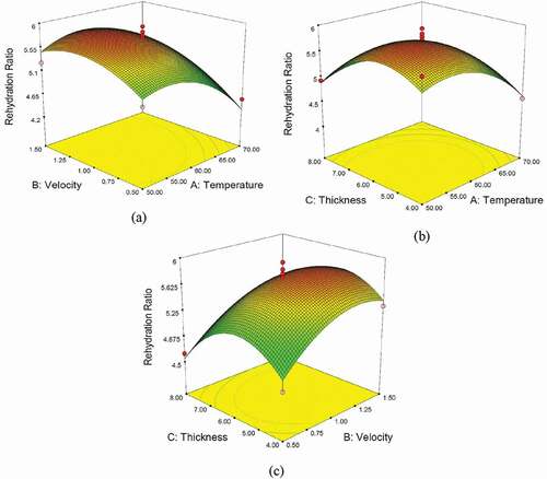 Figure 4. The effects of (a) temperature and air velocity, (b) temperature and sample thickness, and (c) air velocity and sample thickness on response surface plots of the rehydration ratio