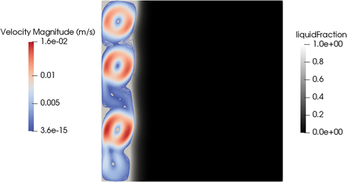 Fig. 13. Buoyancy-induced multicellular pattern develops in the melted zone (t = 450 s; black is solid).