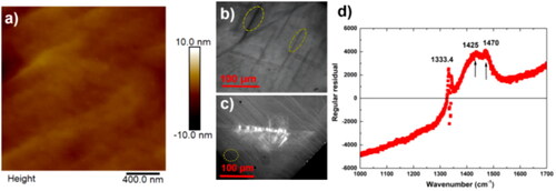 Figure 1. (a) AFM image, (b) SRWBT image, (c) CL images, and (d) processed Raman spectrum showing regular residual of the D-DFP-60.