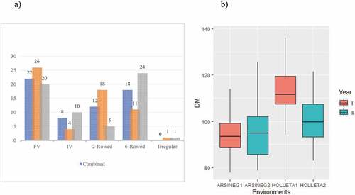 Figure 2. Top 30 highest yielding barley types (panel a), FV = Farmers’ varieties, IV = Improved varieties, AN = Arsi Negelle, HO = Holetta x-axis barley spike row type, y-axis number of barley lines; Days to maturity with the respect to the four test environments (panel b). The x-axis represents, the environments as Arsi Negelle year I (ARSINE1) and year II (ARSINEG2), Holetta year I (HOLETTA1) and year II (HOLETTA2). The y-axis represents the number of days to mature.