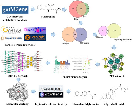 Figure 1. The workflow of this study.