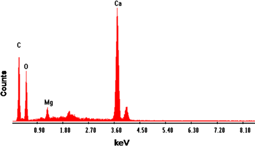 Fig. 9a EDX of CAS before adsorption.