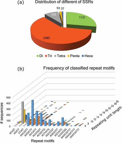 Figure 1. (a) Distribution of SSR loci types. (b) Frequency of SSR repeat motifs discovered from sunn hemp transcriptome.