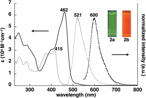 Figure 3. UV/vis absorption spectra (solid lines, CH2Cl2) and normalized emission spectra (dashed lines, deoxygenated CH2Cl2) with excitations at 415 and 462 nm for 2a (gray) and 2b (black), respectively (inset: photographs of 2a,b under UV365 (0.02 mM)).