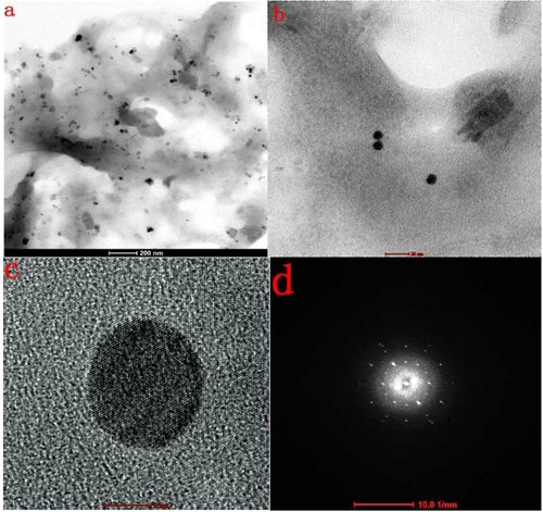 Figure 8. (a) Overview TEM image of AgNPs biosynthesized using the cell-free extract of L. sphaericus MR-1, showing that the particles are well dispersed (scale bar: 200 nm). (b) Typical TEM image of as-biosynthesized AgNPs (scale bar: 20 nm). (c) Typical HRTEM image of a single AgNP (scale bar: 5 nm). (d) typical selected area electron diffraction pattern of AgNPs biosynthesized using the cell-free extract of L. sphaericus MR-1 (scale bar: 10 1/nm).