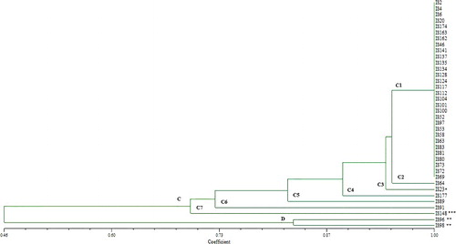 Figure 3. PCR-RFLP dendrogram obtained by unweighted pair group method using average linkage of dice correlation coefficients.