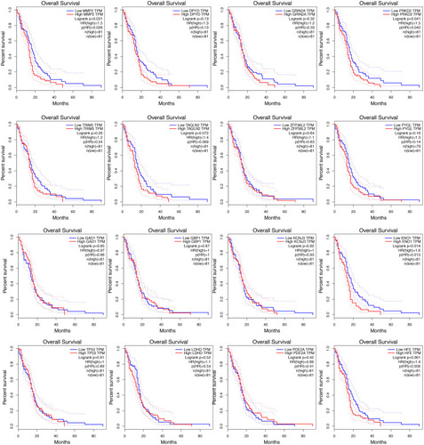 Figure 3 Survival analysis of 16 target genes.