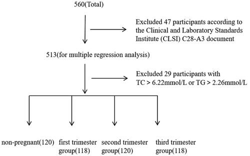 Figure 1. Participant recruitment. TC: total cholesterol and triglyceride TG: triglyceride.