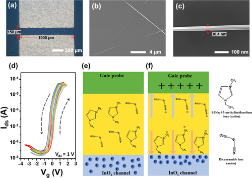 Figure 2. (a) Optical microscope images of the Mg-InOx nanomesh channel. (b) and (c): SEM images of the Mg-InOx nanomesh at different resolutions. (d) Hysteresis curves of the Mg-InOx nanomesh-based electrolyte-gated synaptic transistors (NEGSTs). The distribution of the ions and electrons (e) without and (f) with applied positive gate bias.