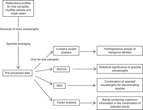 Figure 3. Methodology depicted in a flowchart. Abbreviations as in the text.