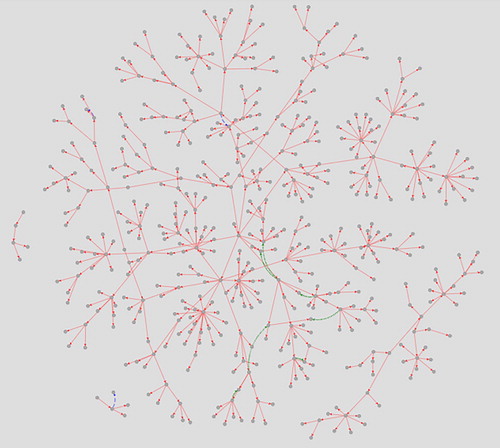 Figure 1. The Languages of Iran as Represented in a Multi-Dimensional Language Classification Web.Source: http://iranatlas.net/module/taxonomy.selectMap