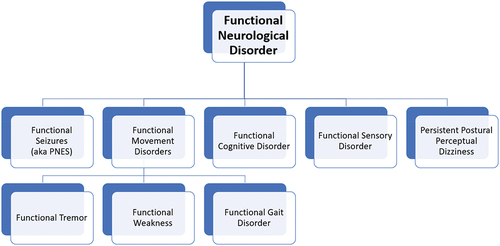 Figure 1. A simplified diagram of functional neurological disorder subtypes.