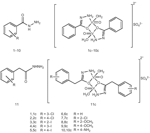 Scheme 1.  Structures of ligands and their oxovanadium(IV) complexes.