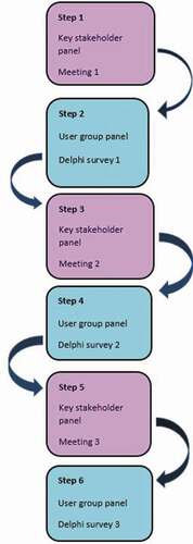 Figure 1. Sets out the procedures undertaken