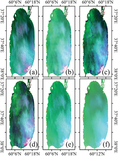 Figure A2. The false color composited (R: NIR band; G: red band; B: green band) image of reference Landsat (a), STARFM (b), FSDAF (c), ESTARFM (d), RASTFM (e), and UBDF (f) yields of Lake Beloye on Aug. 21, 2021.