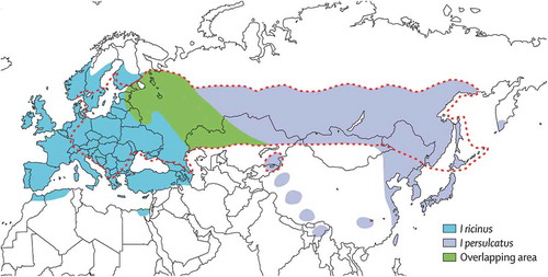 Figure 1. Global distribution of tick-borne encephalitis. Dotted line defines the border for the tick-borne encephalitis endemic area. Ixodes distribution in China is uncertain. Data for this figure were derived from Figure 2 of reference [Citation6] and reprinted from The Lancet, Vol 371/Issue 9627, Lars Lindquist and Olli Vapalahti, Tick-borne encephalitis /p1861–1871, with permission from Elsevier.