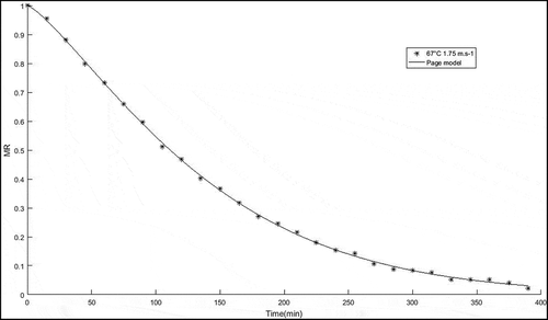 Figure 5. Moisture content versus time for drying curve of R. pimpinellifolia fruits at 67. 21°C; 1.75 m.s−1