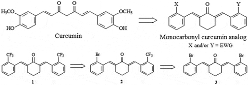 Figure 6. Curcumin and monocarbonyl curcumin derivatives with strong biological properties (antioxidant and anti-inflammatory)