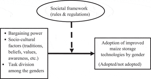 Figure 2. Conceptual framework.