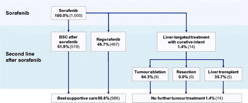 Figure 3. Treatment algorithm following initial treatment with sorafenib. Abbreviation. BSC, best supportive care.