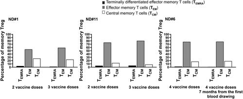 Figure 3. TEM and TCM Treg develop early on during vaccination with little changes after further vaccine boosts. The SARS-CoV-2 spike-specific memory Treg repertoire has been explored consecutively, months apart, in donors # 1 and #11 studied after the second and third injection, respectively, and #6 that received four vaccine administration and has been studied seven months apart. Numerous TEM and TCM Treg were found in circulation after two vaccine injection in two subjects, #1 and 11, left and middle panels, with little changes after the third dose. Donor 6, studied at two time points after the fourth dose, showed a comparable development of Treg memory as the other two subjects studied after two vaccine injections (right panel).
