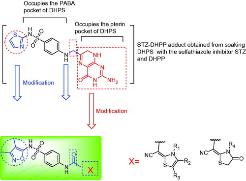Figure 1. Design of thaizole derivatives bearing sulfisoxazole moiety as DHPS inhibitors.