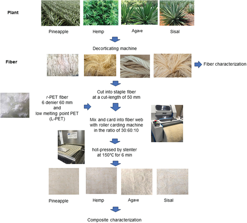 Figure 1. Preparation of the composites with different natural fibers.