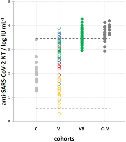 Figure 2. Comparison of SARS-CoV-2 NAb titers in vaccinees after the booster dose (VB) and primary vaccination (V), as well as in COVID-19 convalescents with (C+V) and without (C) additional vaccination. The C+V cohort is shown as two data sets corresponding to one- and two-dose vaccine recipients. Kruskal–Wallis analysis proved the difference between the groups with high level of significance (p < .000001). Individual groups were post-hoc analyzed using Conover, and significant differences (p < .05) are denoted by *. Minimal and maximal SARS-CoV-2 NAb titers determined in COVID-19 convalescents are denoted by dashed lines.