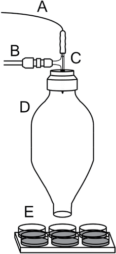 Figure 1. Depiction of the aerosol generation apparatus. (a) Sample solution inlet. (b) Nebulant gas (extra-dry air) inlet. (c) Concentric nebulizer. (d) Single pass spray chamber. (e) Six-well plate. Diagram is not to scale.