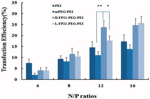 Figure 4. In vitro transfection efficiency of HO8910 cells. Luciferase expression levels of mPEG-PEI/ pEGFP-N, L, D-FP21-PEG-PEI/ pEGFP-N, and PEI/ pEGFP-N at different N/P ratios in transfected cells. *indicates p < .05, **indicates p < .001.