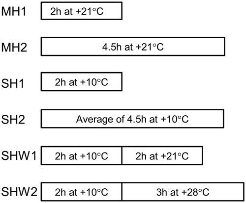Figure 1. Illustration of the experimental protocol. Rats were anesthetized and killed immediately (control group) or subjected to various ambient temperatures presented in the figure (all other groups). MH1, mild hypothermia 1: the rats were kept at room temperature for 2 h. MH2, mild hypothermia 2: the rats were kept at room temperature for 4.5 h. SH1, severe hypothermia 1: the rats were kept in a cold room at + 10 °C for 2 h. SH2, severe hypothermia 2: the rats were kept at + 10 °C until the rectal temperature had decreased to + 20 °C with 4.5 h mean duration of cold exposure. SHW1, severe hypothermia followed by rewarming at room temperature: the rats were kept at + 10 °C for 2 h and then at room temperature for another 2 h. SHW2, severe hypothermia followed by rewarming at + 28 °C: the rats were first kept at + 10 °C for 2 h, and after that they were moved into an incubator with a temperature of + 28 °C for 3 h. During the last 3 h, no anesthetic was given to the rats in this group to ensure recovery of normal body temperature. However, a single intramuscular 0.12-ml dose was administered prior to killing; n = 6–15 per group; data are mean ± SEM.